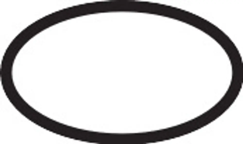 Schwarzer O-Ring in ovaler Form vor weißem Hintergrund. Das Produkt ist von Hansgrohe und eignet sich zur Verwendung in verschiedenen Anwendungen.